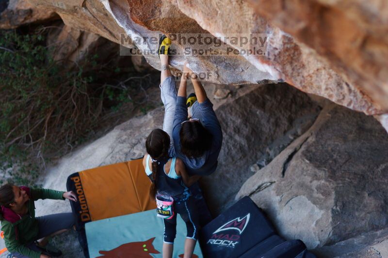 

Filename: SRM_20161120_1655563.jpg
Aperture: f/2.0
Shutter Speed: 1/500
Body: Canon EOS-1D Mark II
Lens: Canon EF 85mm f/1.2 L II