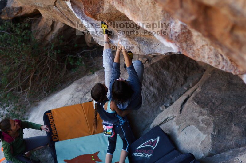 

Filename: SRM_20161120_1655570.jpg
Aperture: f/2.0
Shutter Speed: 1/500
Body: Canon EOS-1D Mark II
Lens: Canon EF 85mm f/1.2 L II