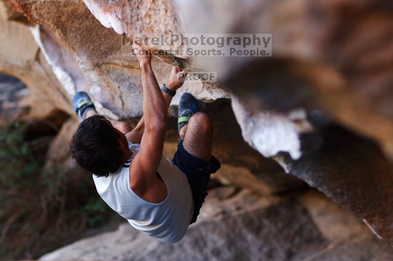 

Filename: SRM_20161120_1704360.jpg
Aperture: f/2.0
Shutter Speed: 1/320
Body: Canon EOS-1D Mark II
Lens: Canon EF 85mm f/1.2 L II