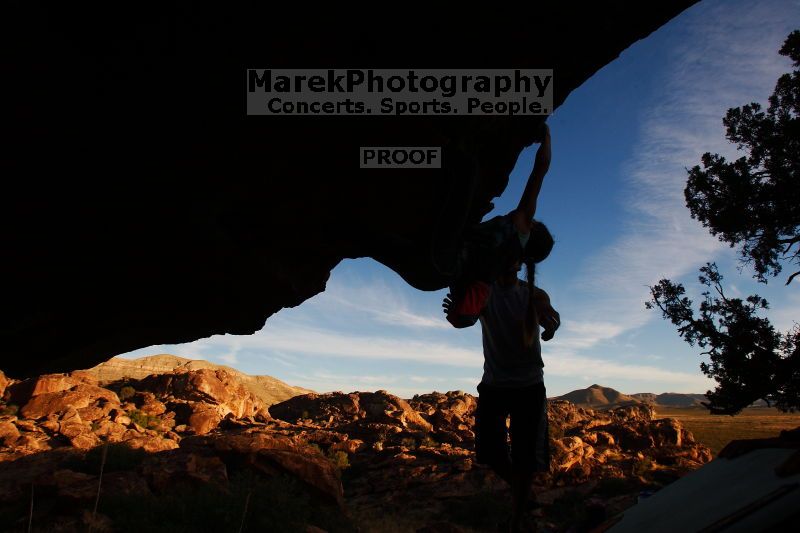 

Filename: SRM_20161120_1831371.jpg
Aperture: f/8.0
Shutter Speed: 1/250
Body: Canon EOS-1D Mark II
Lens: Canon EF 16-35mm f/2.8 L