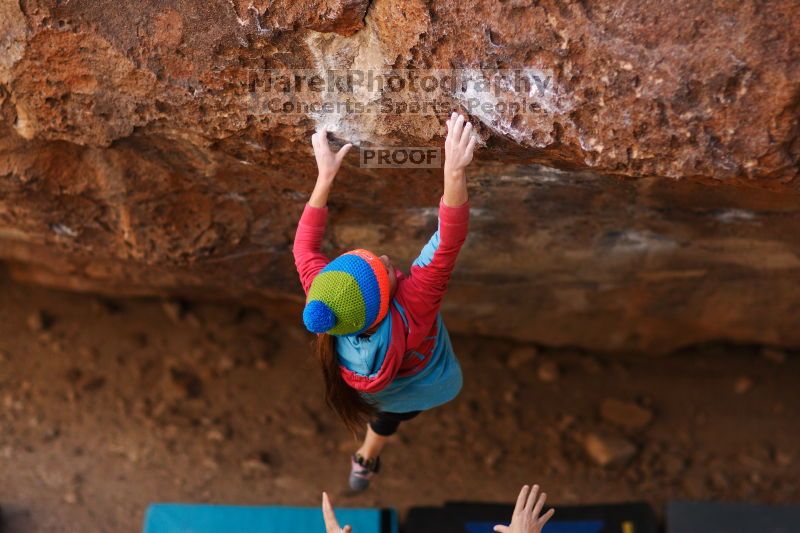 

Filename: SRM_20161124_1326444.jpg
Aperture: f/1.8
Shutter Speed: 1/1250
Body: Canon EOS-1D Mark II
Lens: Canon EF 85mm f/1.2 L II