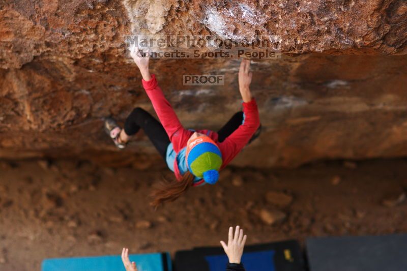 

Filename: SRM_20161124_1329101.jpg
Aperture: f/1.8
Shutter Speed: 1/1250
Body: Canon EOS-1D Mark II
Lens: Canon EF 85mm f/1.2 L II