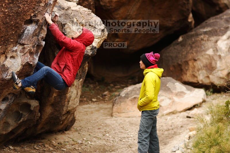 

Filename: SRM_20161209_1221061.jpg
Aperture: f/2.0
Shutter Speed: 1/1000
Body: Canon EOS-1D Mark II
Lens: Canon EF 85mm f/1.2 L II