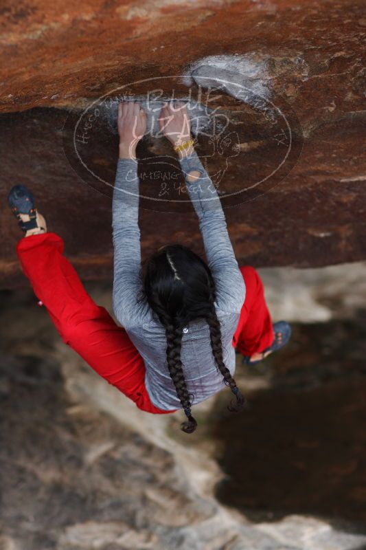 

Filename: SRM_20161222_1501540.jpg
Aperture: f/2.0
Shutter Speed: 1/640
Body: Canon EOS-1D Mark II
Lens: Canon EF 85mm f/1.2 L II