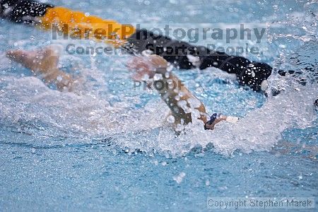 Ann Battle competed in the 1000m freestyle against FSU, UMD and VT

Filename: crw_2928_std.jpg
Aperture: f/2.8
Shutter Speed: 1/500
Body: Canon EOS DIGITAL REBEL
Lens: Canon EF 80-200mm f/2.8 L