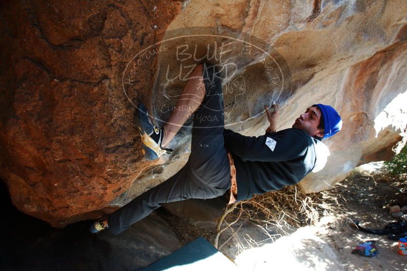 

Filename: SRM_20170104_1326061.jpg
Aperture: f/4.0
Shutter Speed: 1/320
Body: Canon EOS-1D Mark II
Lens: Canon EF 16-35mm f/2.8 L