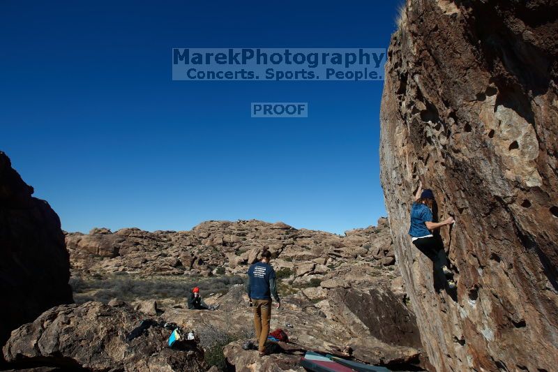 

Filename: SRM_20170129_1321460.jpg
Aperture: f/8.0
Shutter Speed: 1/250
Body: Canon EOS-1D Mark II
Lens: Canon EF 16-35mm f/2.8 L