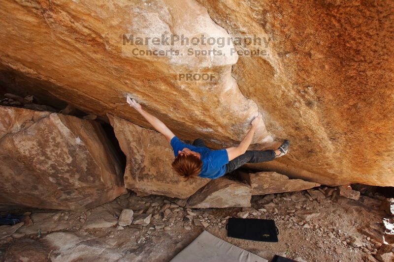 

Filename: SRM_20170203_1153241.jpg
Aperture: f/5.6
Shutter Speed: 1/320
Body: Canon EOS-1D Mark II
Lens: Canon EF 16-35mm f/2.8 L