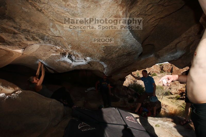 

Filename: SRM_20170311_1605220.jpg
Aperture: f/9.0
Shutter Speed: 1/250
Body: Canon EOS-1D Mark II
Lens: Canon EF 16-35mm f/2.8 L