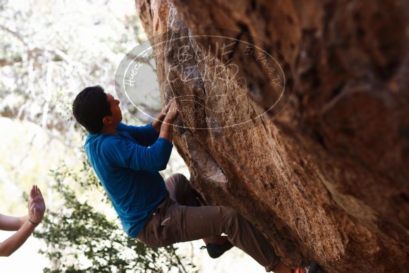 

Filename: SRM_20170314_1043230.jpg
Aperture: f/2.8
Shutter Speed: 1/400
Body: Canon EOS-1D Mark II
Lens: Canon EF 85mm f/1.2 L II