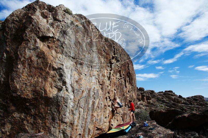 

Filename: SRM_20170325_1543460.jpg
Aperture: f/10.0
Shutter Speed: 1/250
Body: Canon EOS-1D Mark II
Lens: Canon EF 16-35mm f/2.8 L