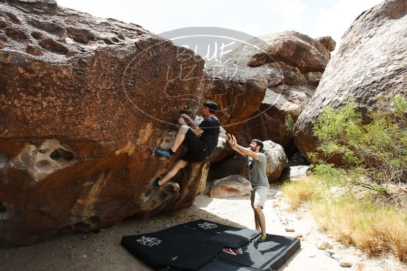 

Filename: SRM_20170625_1429560.jpg
Aperture: f/8.0
Shutter Speed: 1/320
Body: Canon EOS-1D Mark II
Lens: Canon EF 16-35mm f/2.8 L