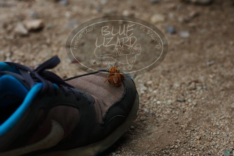 

Filename: SRM_20170625_1526182.jpg
Aperture: f/4.0
Shutter Speed: 1/800
Body: Canon EOS-1D Mark II
Lens: Canon EF 85mm f/1.2 L II