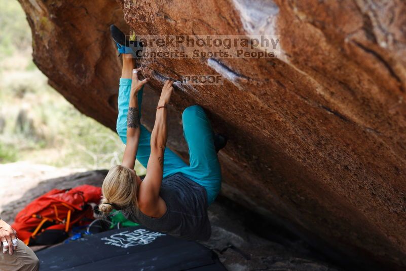 

Filename: SRM_20170703_1214063.jpg
Aperture: f/2.8
Shutter Speed: 1/640
Body: Canon EOS-1D Mark II
Lens: Canon EF 85mm f/1.2 L II