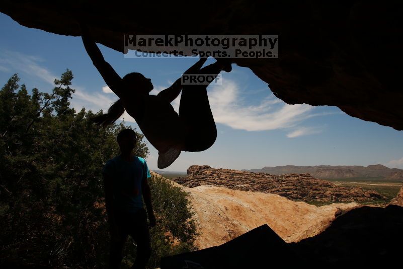 

Filename: SRM_20170703_1358160.jpg
Aperture: f/8.0
Shutter Speed: 1/250
Body: Canon EOS-1D Mark II
Lens: Canon EF 16-35mm f/2.8 L