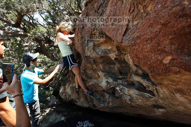 

Filename: SRM_20170703_1432100.jpg
Aperture: f/6.3
Shutter Speed: 1/500
Body: Canon EOS-1D Mark II
Lens: Canon EF 16-35mm f/2.8 L