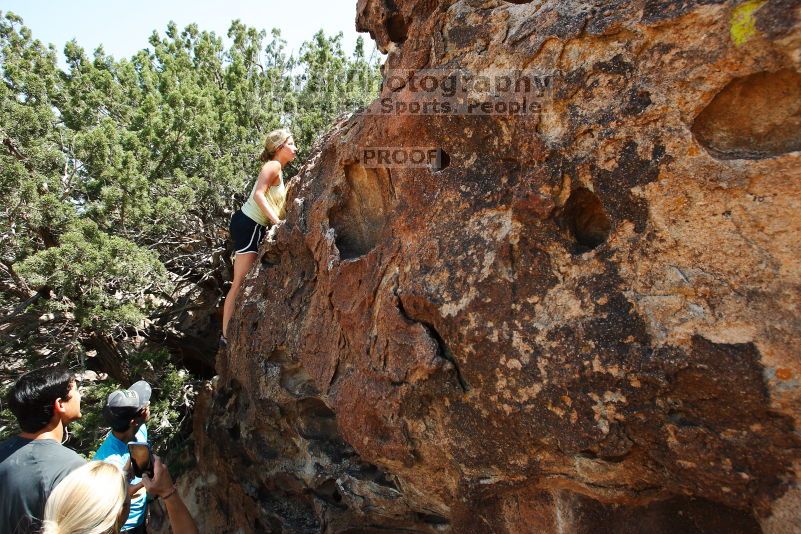 

Filename: SRM_20170703_1432310.jpg
Aperture: f/6.3
Shutter Speed: 1/640
Body: Canon EOS-1D Mark II
Lens: Canon EF 16-35mm f/2.8 L