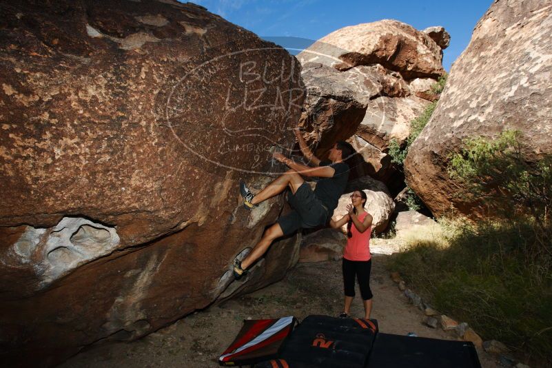 

Filename: SRM_20171020_1031550.jpg
Aperture: f/8.0
Shutter Speed: 1/250
Body: Canon EOS-1D Mark II
Lens: Canon EF 16-35mm f/2.8 L