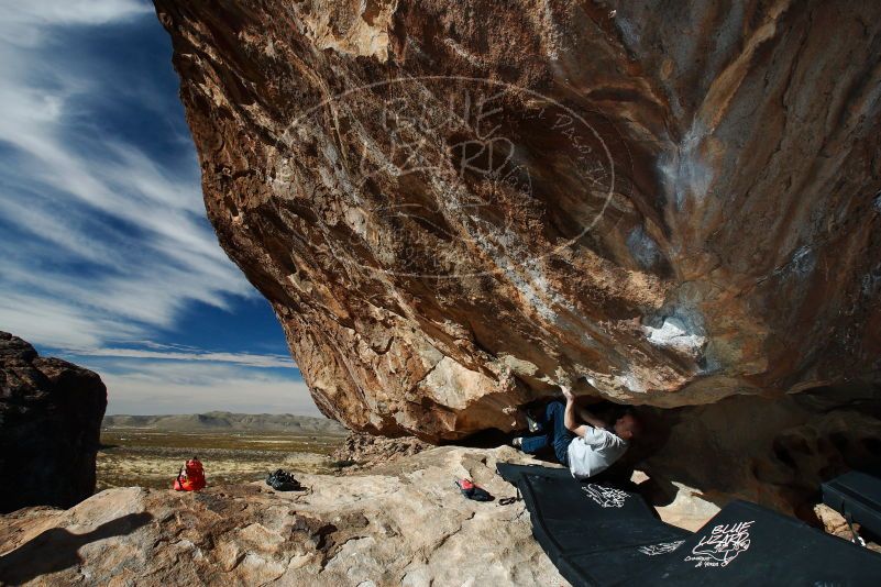 

Filename: SRM_20180109_1147300.jpg
Aperture: f/8.0
Shutter Speed: 1/250
Body: Canon EOS-1D Mark II
Lens: Canon EF 16-35mm f/2.8 L