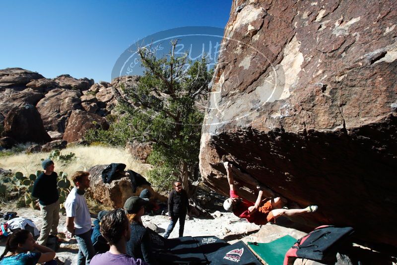 

Filename: SRM_20180127_1145480.jpg
Aperture: f/7.1
Shutter Speed: 1/200
Body: Canon EOS-1D Mark II
Lens: Canon EF 16-35mm f/2.8 L