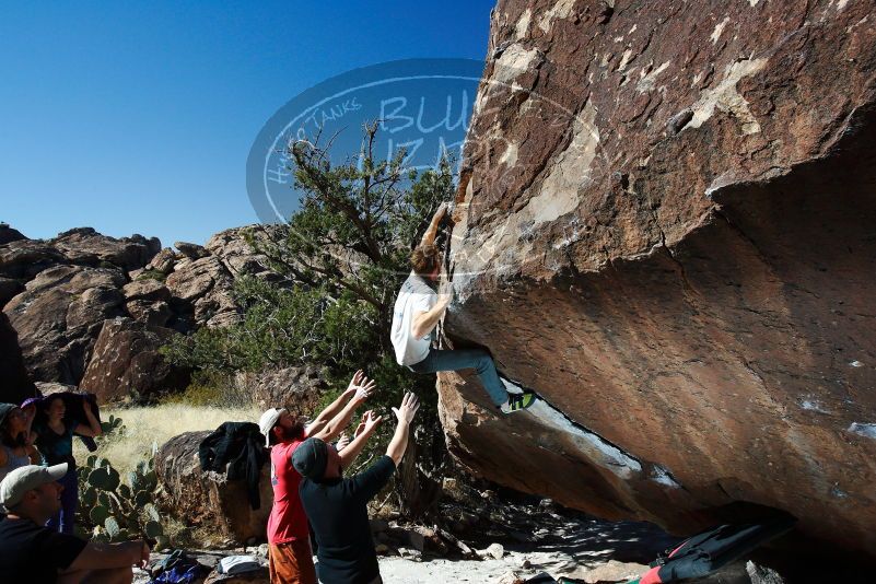 

Filename: SRM_20180127_1205390.jpg
Aperture: f/8.0
Shutter Speed: 1/250
Body: Canon EOS-1D Mark II
Lens: Canon EF 16-35mm f/2.8 L