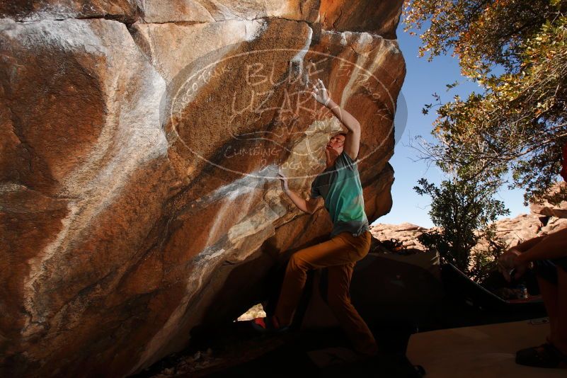 

Filename: SRM_20180329_1429210.jpg
Aperture: f/8.0
Shutter Speed: 1/250
Body: Canon EOS-1D Mark II
Lens: Canon EF 16-35mm f/2.8 L