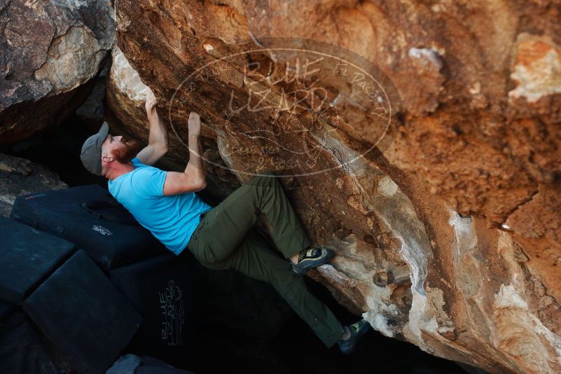 Bouldering in Hueco Tanks on 11/02/2018 with Blue Lizard Climbing and Yoga

Filename: SRM_20181102_1013530.jpg
Aperture: f/3.5
Shutter Speed: 1/500
Body: Canon EOS-1D Mark II
Lens: Canon EF 50mm f/1.8 II