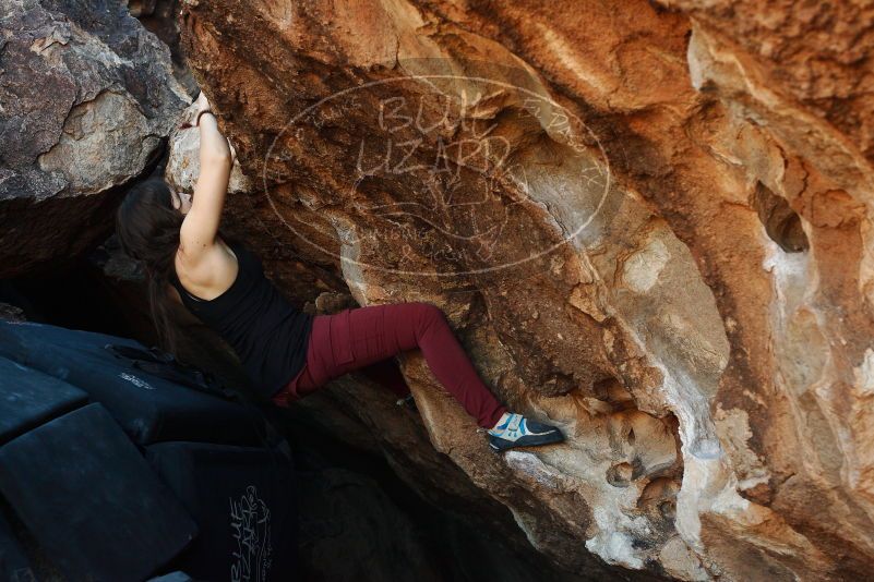 Bouldering in Hueco Tanks on 11/02/2018 with Blue Lizard Climbing and Yoga

Filename: SRM_20181102_1015140.jpg
Aperture: f/4.0
Shutter Speed: 1/250
Body: Canon EOS-1D Mark II
Lens: Canon EF 50mm f/1.8 II