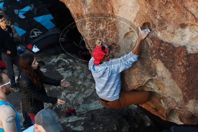 Bouldering in Hueco Tanks on 11/02/2018 with Blue Lizard Climbing and Yoga

Filename: SRM_20181102_1032200.jpg
Aperture: f/4.0
Shutter Speed: 1/500
Body: Canon EOS-1D Mark II
Lens: Canon EF 50mm f/1.8 II