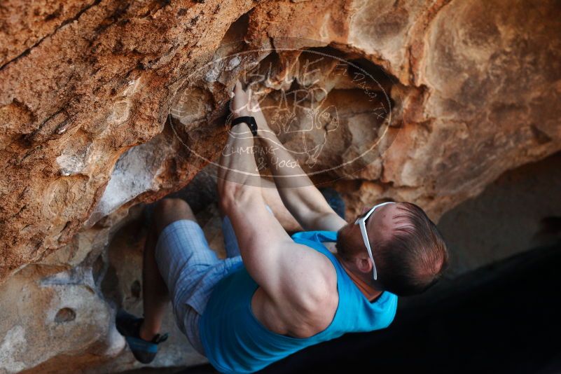 Bouldering in Hueco Tanks on 11/02/2018 with Blue Lizard Climbing and Yoga

Filename: SRM_20181102_1036380.jpg
Aperture: f/4.0
Shutter Speed: 1/250
Body: Canon EOS-1D Mark II
Lens: Canon EF 50mm f/1.8 II