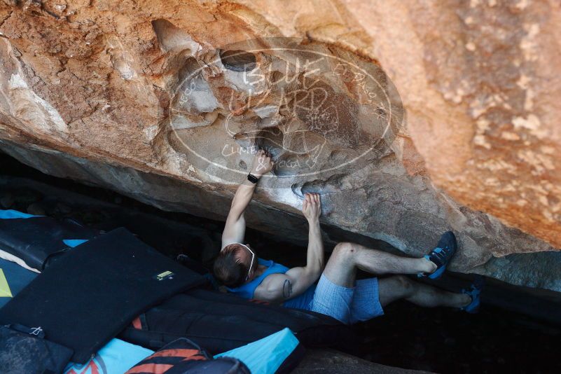 Bouldering in Hueco Tanks on 11/02/2018 with Blue Lizard Climbing and Yoga

Filename: SRM_20181102_1044050.jpg
Aperture: f/4.0
Shutter Speed: 1/320
Body: Canon EOS-1D Mark II
Lens: Canon EF 50mm f/1.8 II