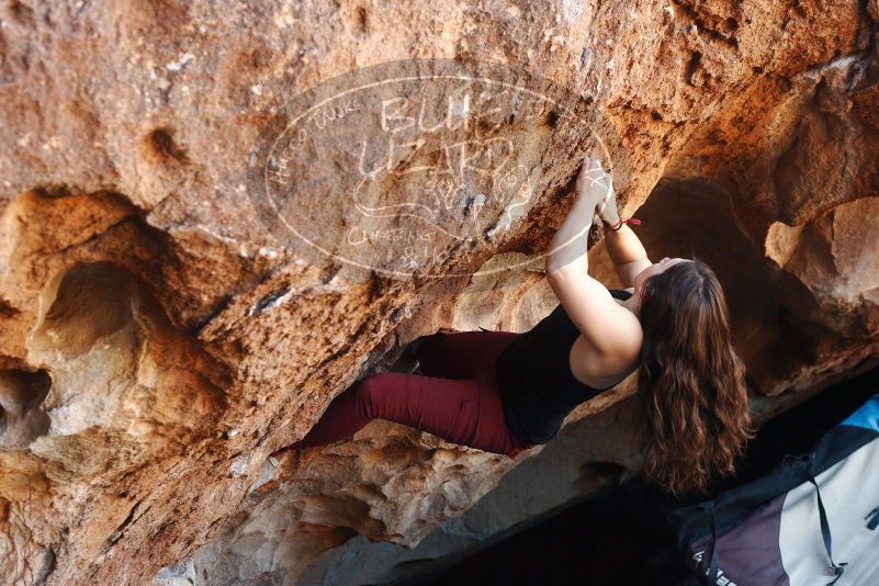 Bouldering in Hueco Tanks on 11/02/2018 with Blue Lizard Climbing and Yoga

Filename: SRM_20181102_1052250.jpg
Aperture: f/4.0
Shutter Speed: 1/250
Body: Canon EOS-1D Mark II
Lens: Canon EF 50mm f/1.8 II