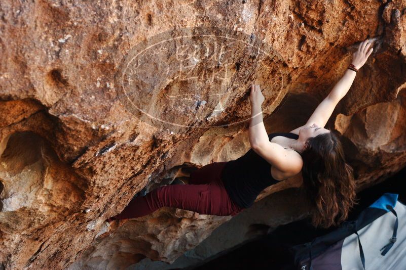 Bouldering in Hueco Tanks on 11/02/2018 with Blue Lizard Climbing and Yoga

Filename: SRM_20181102_1052260.jpg
Aperture: f/4.0
Shutter Speed: 1/320
Body: Canon EOS-1D Mark II
Lens: Canon EF 50mm f/1.8 II