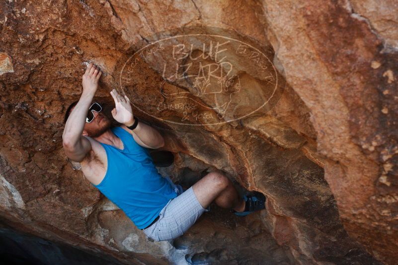 Bouldering in Hueco Tanks on 11/02/2018 with Blue Lizard Climbing and Yoga

Filename: SRM_20181102_1112421.jpg
Aperture: f/4.0
Shutter Speed: 1/640
Body: Canon EOS-1D Mark II
Lens: Canon EF 50mm f/1.8 II