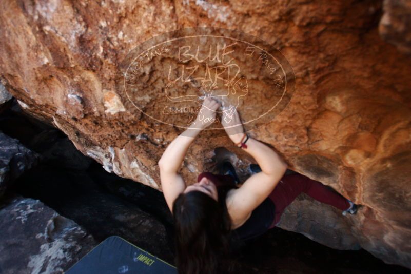 Bouldering in Hueco Tanks on 11/02/2018 with Blue Lizard Climbing and Yoga

Filename: SRM_20181102_1127130.jpg
Aperture: f/4.0
Shutter Speed: 1/400
Body: Canon EOS-1D Mark II
Lens: Canon EF 16-35mm f/2.8 L