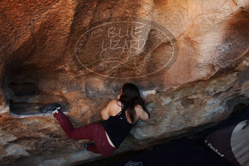 Bouldering in Hueco Tanks on 11/02/2018 with Blue Lizard Climbing and Yoga

Filename: SRM_20181102_1356000.jpg
Aperture: f/4.0
Shutter Speed: 1/320
Body: Canon EOS-1D Mark II
Lens: Canon EF 16-35mm f/2.8 L