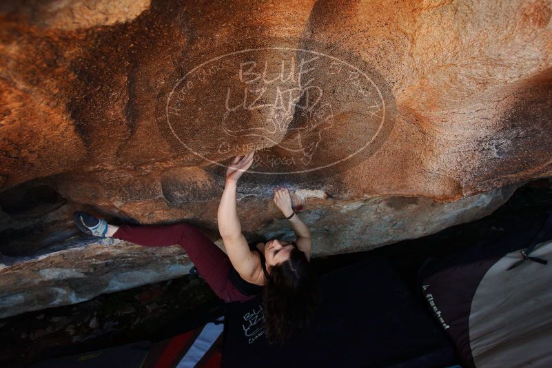 Bouldering in Hueco Tanks on 11/02/2018 with Blue Lizard Climbing and Yoga

Filename: SRM_20181102_1357400.jpg
Aperture: f/4.0
Shutter Speed: 1/320
Body: Canon EOS-1D Mark II
Lens: Canon EF 16-35mm f/2.8 L