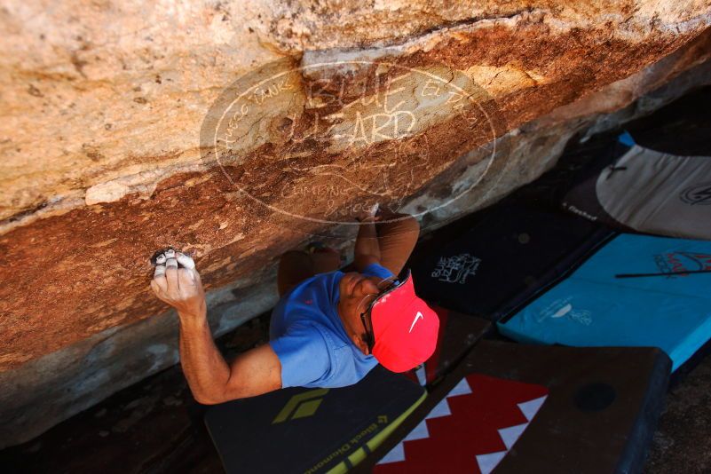 Bouldering in Hueco Tanks on 11/02/2018 with Blue Lizard Climbing and Yoga

Filename: SRM_20181102_1400190.jpg
Aperture: f/4.0
Shutter Speed: 1/400
Body: Canon EOS-1D Mark II
Lens: Canon EF 16-35mm f/2.8 L