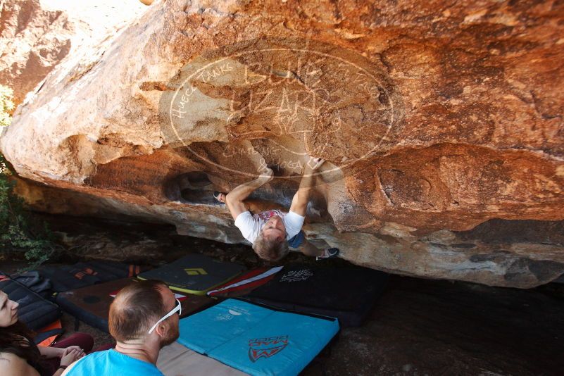 Bouldering in Hueco Tanks on 11/02/2018 with Blue Lizard Climbing and Yoga

Filename: SRM_20181102_1419370.jpg
Aperture: f/4.5
Shutter Speed: 1/400
Body: Canon EOS-1D Mark II
Lens: Canon EF 16-35mm f/2.8 L