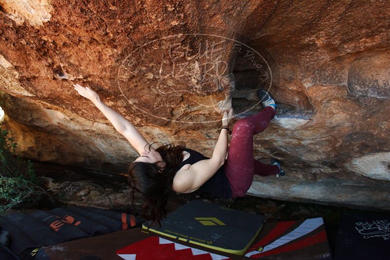 Bouldering in Hueco Tanks on 11/02/2018 with Blue Lizard Climbing and Yoga

Filename: SRM_20181102_1425190.jpg
Aperture: f/4.5
Shutter Speed: 1/250
Body: Canon EOS-1D Mark II
Lens: Canon EF 16-35mm f/2.8 L