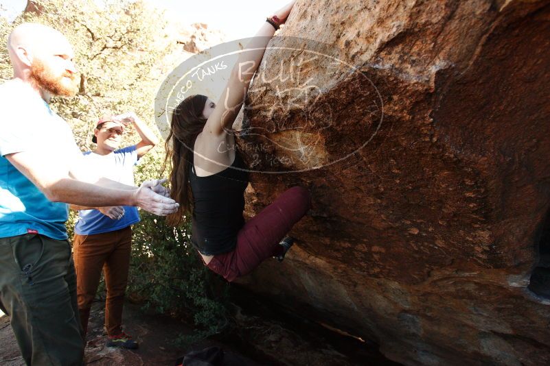 Bouldering in Hueco Tanks on 11/02/2018 with Blue Lizard Climbing and Yoga

Filename: SRM_20181102_1458010.jpg
Aperture: f/4.0
Shutter Speed: 1/1250
Body: Canon EOS-1D Mark II
Lens: Canon EF 16-35mm f/2.8 L