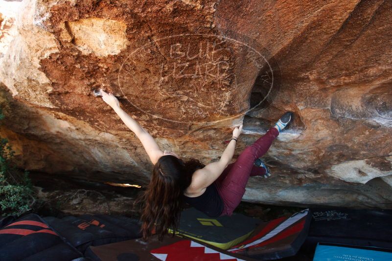 Bouldering in Hueco Tanks on 11/02/2018 with Blue Lizard Climbing and Yoga

Filename: SRM_20181102_1505060.jpg
Aperture: f/4.0
Shutter Speed: 1/320
Body: Canon EOS-1D Mark II
Lens: Canon EF 16-35mm f/2.8 L