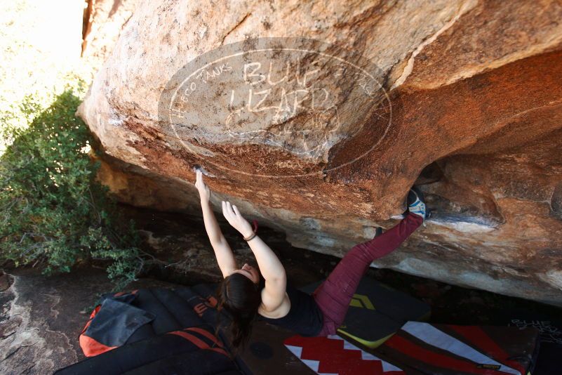 Bouldering in Hueco Tanks on 11/02/2018 with Blue Lizard Climbing and Yoga

Filename: SRM_20181102_1514441.jpg
Aperture: f/4.0
Shutter Speed: 1/400
Body: Canon EOS-1D Mark II
Lens: Canon EF 16-35mm f/2.8 L