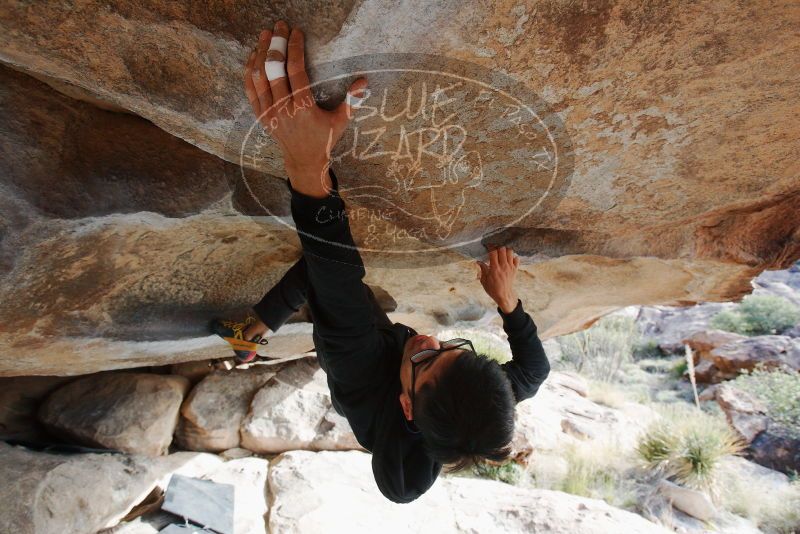 Bouldering in Hueco Tanks on 11/03/2018 with Blue Lizard Climbing and Yoga

Filename: SRM_20181103_0936171.jpg
Aperture: f/5.6
Shutter Speed: 1/320
Body: Canon EOS-1D Mark II
Lens: Canon EF 16-35mm f/2.8 L