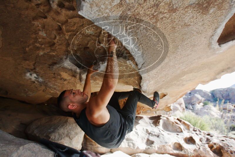 Bouldering in Hueco Tanks on 11/03/2018 with Blue Lizard Climbing and Yoga

Filename: SRM_20181103_0943150.jpg
Aperture: f/5.6
Shutter Speed: 1/400
Body: Canon EOS-1D Mark II
Lens: Canon EF 16-35mm f/2.8 L