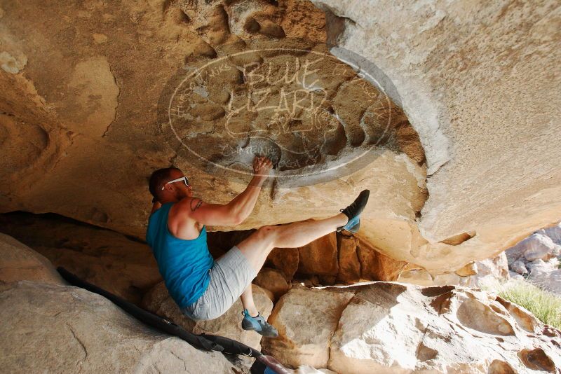 Bouldering in Hueco Tanks on 11/03/2018 with Blue Lizard Climbing and Yoga

Filename: SRM_20181103_0946571.jpg
Aperture: f/5.6
Shutter Speed: 1/500
Body: Canon EOS-1D Mark II
Lens: Canon EF 16-35mm f/2.8 L