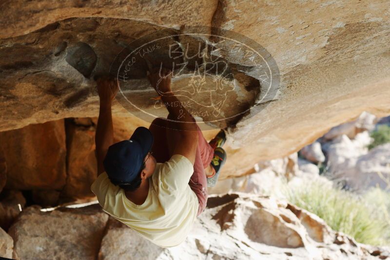 Bouldering in Hueco Tanks on 11/03/2018 with Blue Lizard Climbing and Yoga

Filename: SRM_20181103_1000210.jpg
Aperture: f/4.0
Shutter Speed: 1/800
Body: Canon EOS-1D Mark II
Lens: Canon EF 50mm f/1.8 II