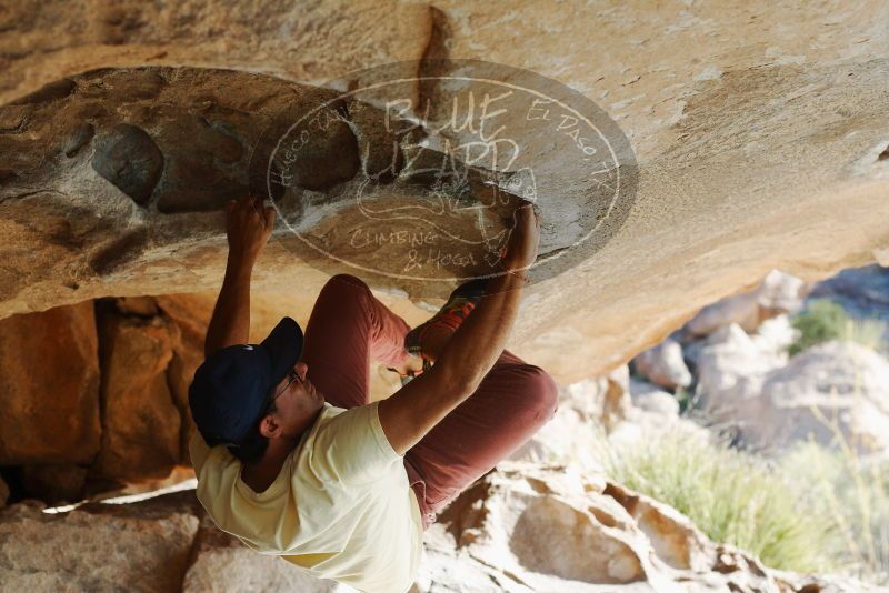 Bouldering in Hueco Tanks on 11/03/2018 with Blue Lizard Climbing and Yoga

Filename: SRM_20181103_1000250.jpg
Aperture: f/4.0
Shutter Speed: 1/800
Body: Canon EOS-1D Mark II
Lens: Canon EF 50mm f/1.8 II