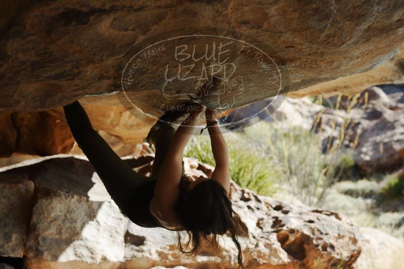 Bouldering in Hueco Tanks on 11/03/2018 with Blue Lizard Climbing and Yoga

Filename: SRM_20181103_1003560.jpg
Aperture: f/4.0
Shutter Speed: 1/1250
Body: Canon EOS-1D Mark II
Lens: Canon EF 50mm f/1.8 II