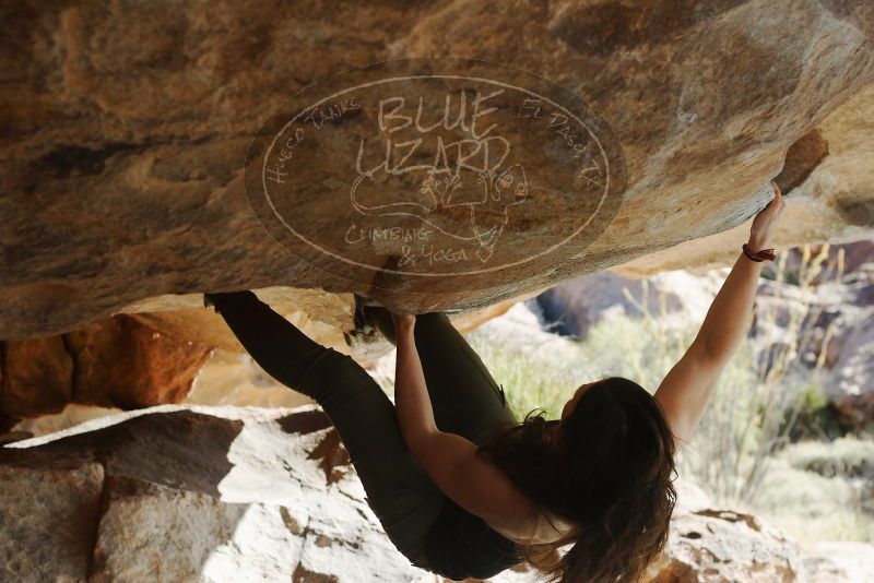 Bouldering in Hueco Tanks on 11/03/2018 with Blue Lizard Climbing and Yoga

Filename: SRM_20181103_1003590.jpg
Aperture: f/4.0
Shutter Speed: 1/1000
Body: Canon EOS-1D Mark II
Lens: Canon EF 50mm f/1.8 II